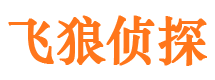 宝山区外遇出轨调查取证